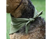 ���.������� 1.jpg