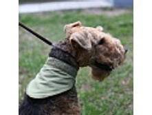 ���.������� � ��������.jpg