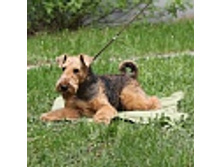 ����������� ���������.jpg