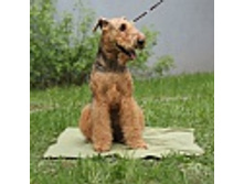 ����������� ���������1.jpg