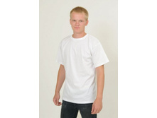 241-008 �������. 166 ���..jpg