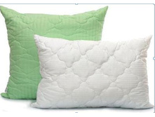 ������� ������ ���� ���������