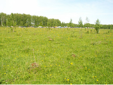 ��� �� ������ �� ���������� ������� ����� ������������ ����, ���. :)