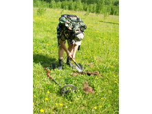 ��������.