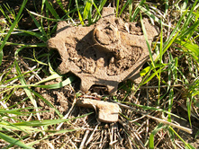 �������. :D