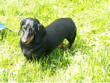 �������. :)