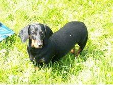 �������. :)