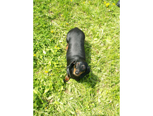 �������. :)