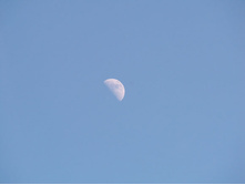 ����� ����.