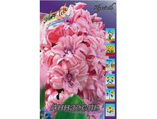 Hyacinth Annabelle 154,5�. �� 5 ��.jpg