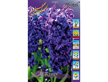 Hyacinth Blue 66,8�. �� 5��.jpg