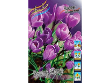 Crocus Grand Maitre 87,7�. �� 15��.jpg