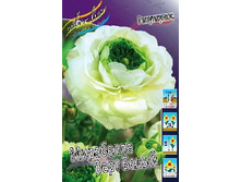Ranunculus Mirabelle Vert White 221,1�. �� 10��.jpg