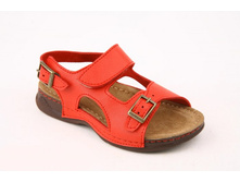 313700-005 ��������� ����. ������� �� 10 ��� (24-29�.)