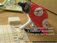 ��� ������ � ������� �������� 3724472.1056744.jpg