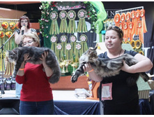 ����������� 457.jpg