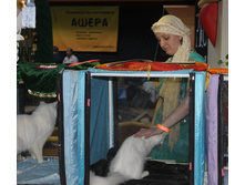 ����������� 474.jpg