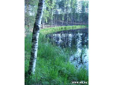 ���� �� ������� ����, � �������� �� �����������! �������!