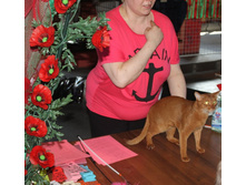 ����������� 529.jpg