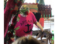 ����������� 520.jpg