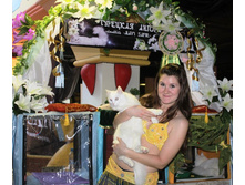 ����������� 511.jpg