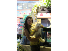 ����������� 509.jpg