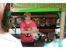 ����������� 505.jpg