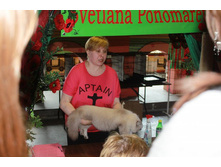 ����������� 504.jpg