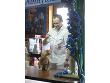 ����������� 488.jpg