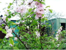 ������� ��������