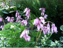 �������� ������.