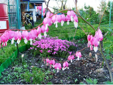 �������� ������������