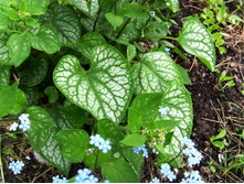 ���� �����\' ?