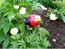 ������� ���������