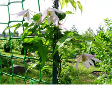 �������� ���������� ������� �� ����� ���� ����.JPG