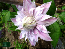 �������� ��������.JPG