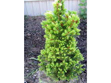 ������ �� ����������� ���.JPG