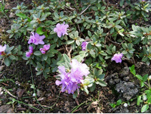 ���3 ���������.JPG