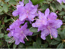 �����3 �������.JPG