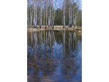 ������ � ����� �����