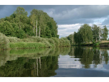 ����� ������