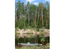 �������