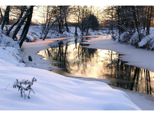 ����� �� ����