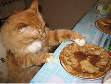 ��������������[1]