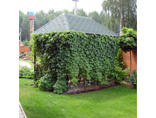 ������� � �������� ����������.jpg