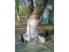 27.05.2013 13:42:17
