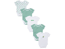 �� 500 �� 531�