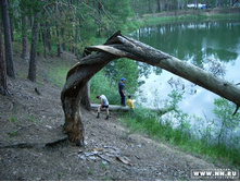 ������: ����� �������� ���������� �� ���������������� ������ �����..