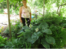 ��� ����� ������� ��������...�� ������ �����������