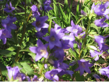 �����������) �� ����� ����������)